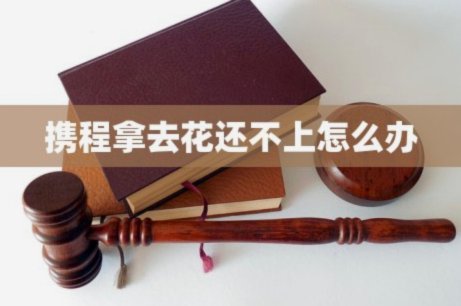 携程拿去花怎么不能买票