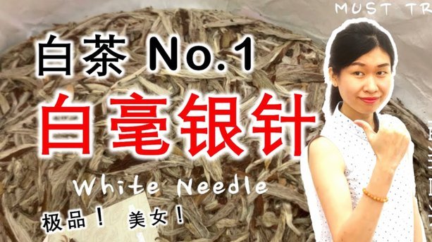 白条新手高效使用指南