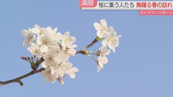 花呗超市套现风险全解析