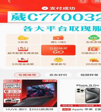 羊小咩取现额度详解：动态管理与用户分层策略