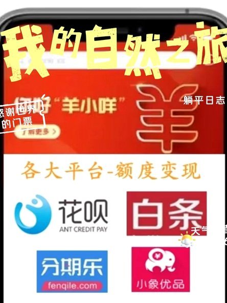羊小咩取现额度多少
