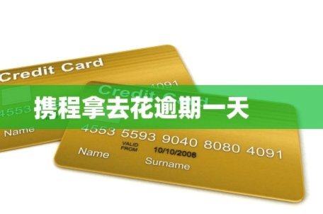 携程花钱取现多久？