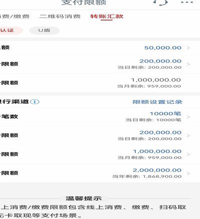 月付怎么提额度
