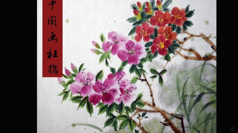 花呗“套路”：消费陷阱的深层原因