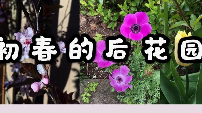 套现花呗是什么意思啊