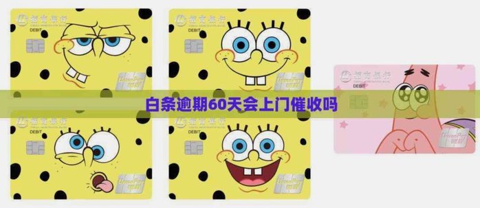 白条支付通吃这些平台