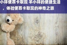 便荔卡包取现提前结清指南