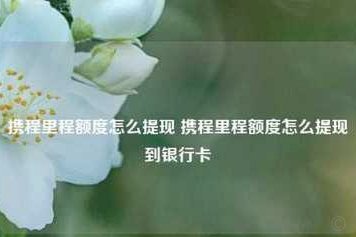 拿去花额度怎么提现 取不出来