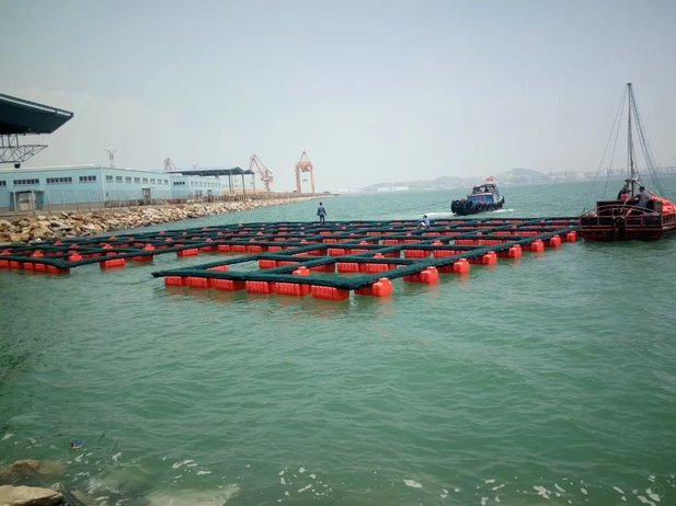 海鸥贷平台