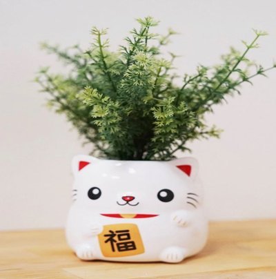 天猫怎么套花呗