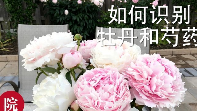套现花呗平台，资金安全如何保障？