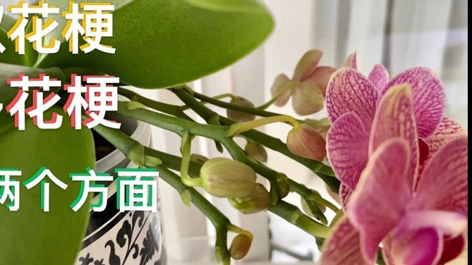 拿去花套现回收商家 平台违法吗