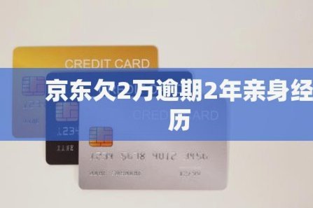 白条借20000还40000