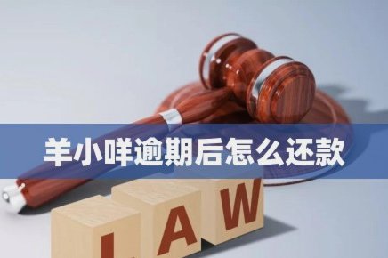 羊小咩平台客服：温暖守护你的每一步