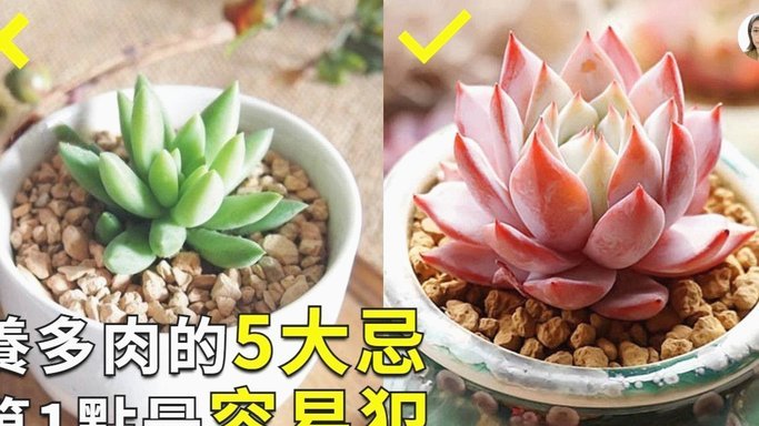 花呗提现那些二维码能用？