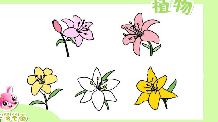 花呗兑现商家怎么操作
