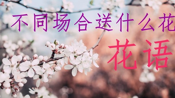 套用花呗额度是什么意思