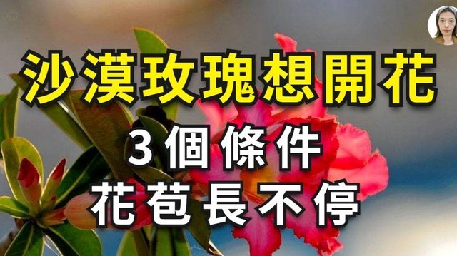 花呗平台正规吗 怎么还款