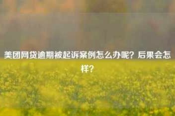 美团月付取现上征信吗 怎么查