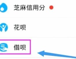 花呗：便捷信贷新体验