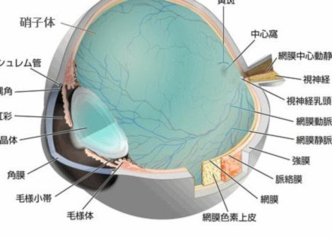 花呗套出现金会怎样