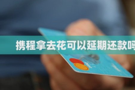 微信“拿去花”还款难？
