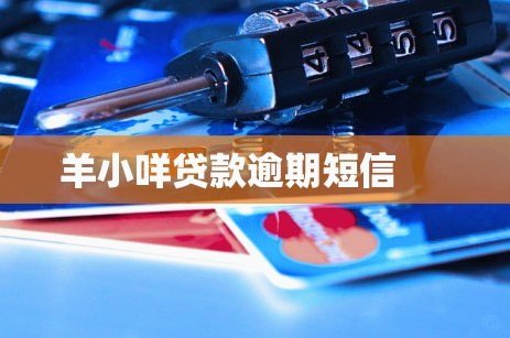羊小咩借款怎么找