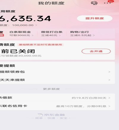 白条借款指南：玩法与风险