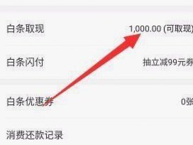 白条取现多久到？