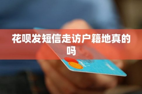 花呗 户籍地