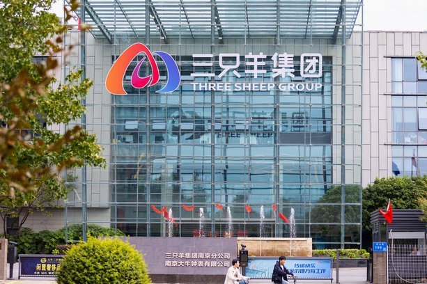 羊小咩是哪里的公司