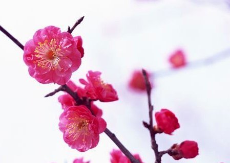 什么是花呗套现？解析其行为本质与法律风险警示