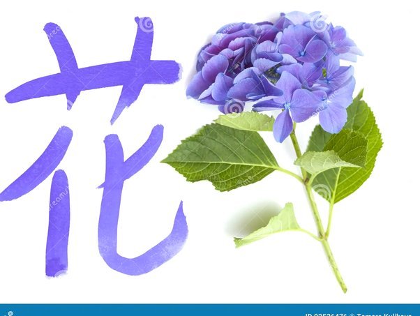 拿去花可以套出来吗