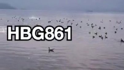 白条提现攻略：详细步骤和新手避坑指南