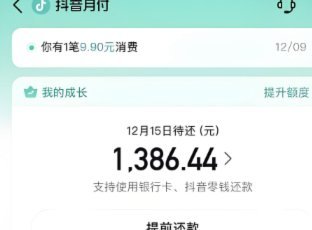 月付额度怎么套出来