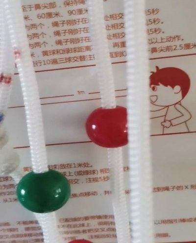 套拿背后的理性与生存智慧